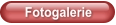 Fotogalerie