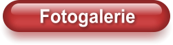 Fotogalerie