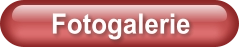 Fotogalerie